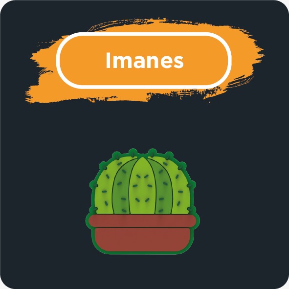 Imanes